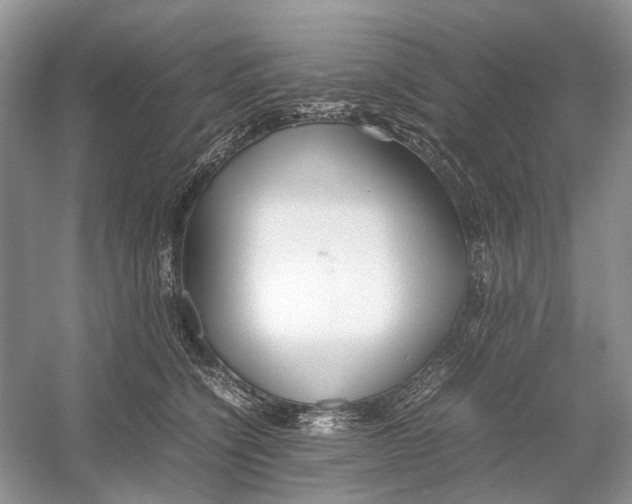 X0000054370564200508262344