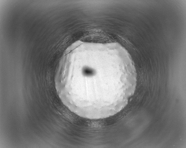 X0000054370565200508262344