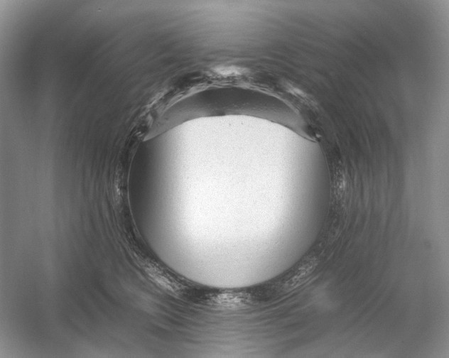 X0000054370566200508262344