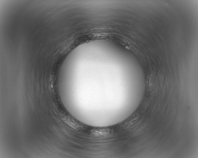 X0000054370567200508262344