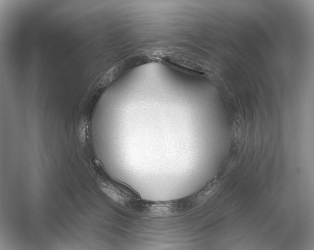 X0000054370574200508262344