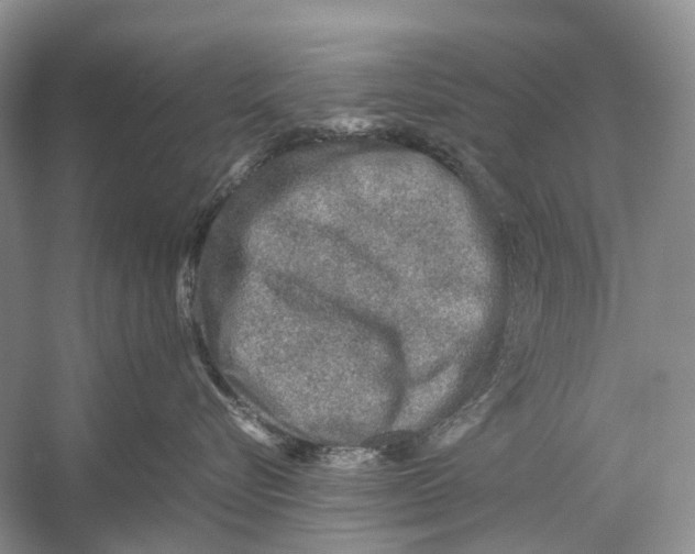 X0000054370576200508262344