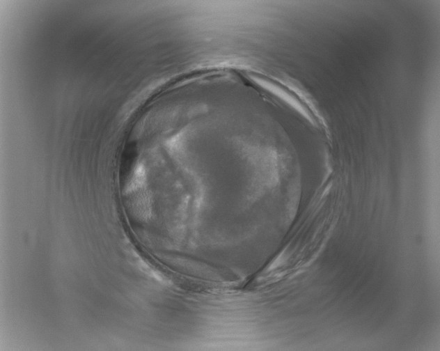 X0000054370577200508262343