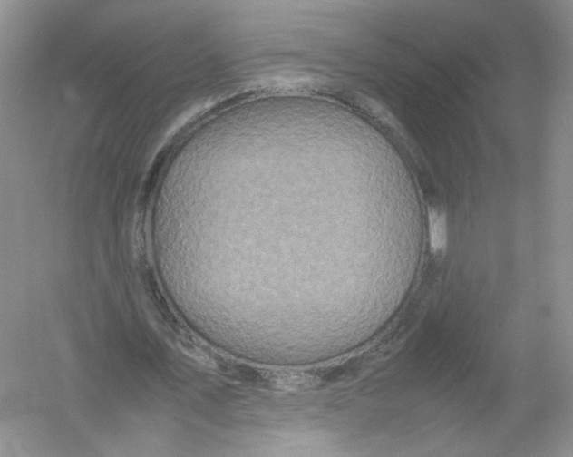 X0000054370579200508262343