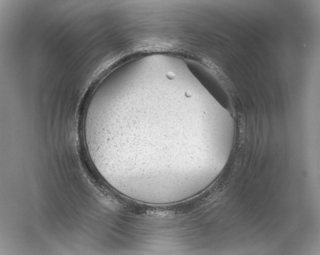 X0000054370582200508262343