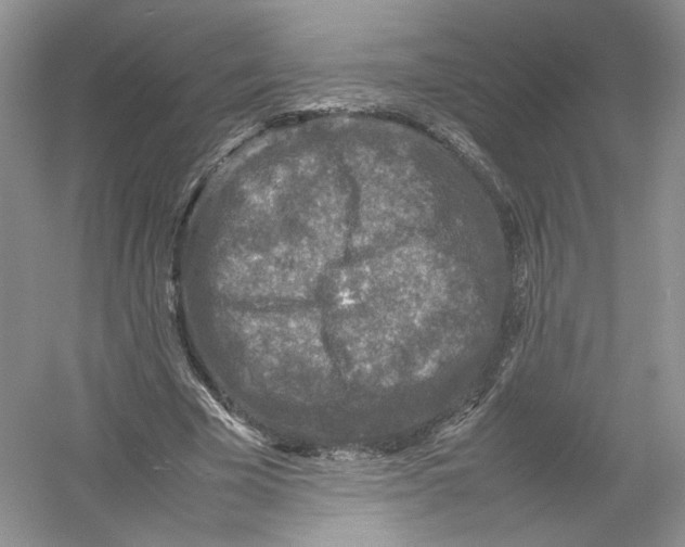 X0000054370585200508262343