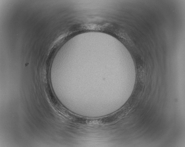 X0000054370587200508262343