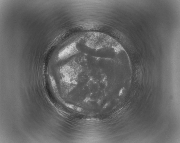 X0000054370590200508262343