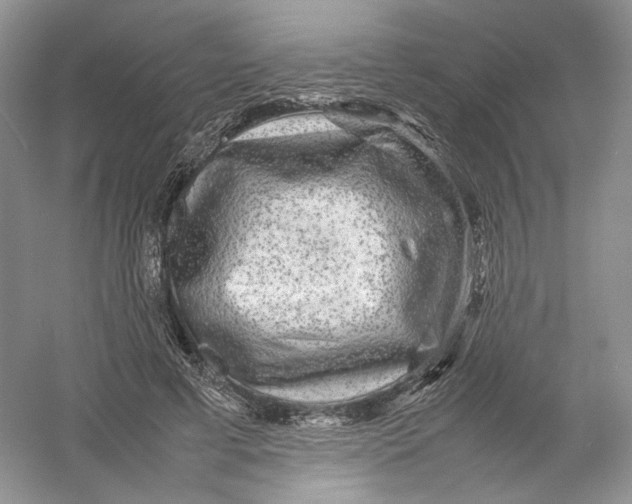 X0000054370593200508262343