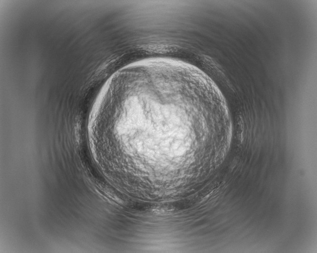 X0000054370596200508262343