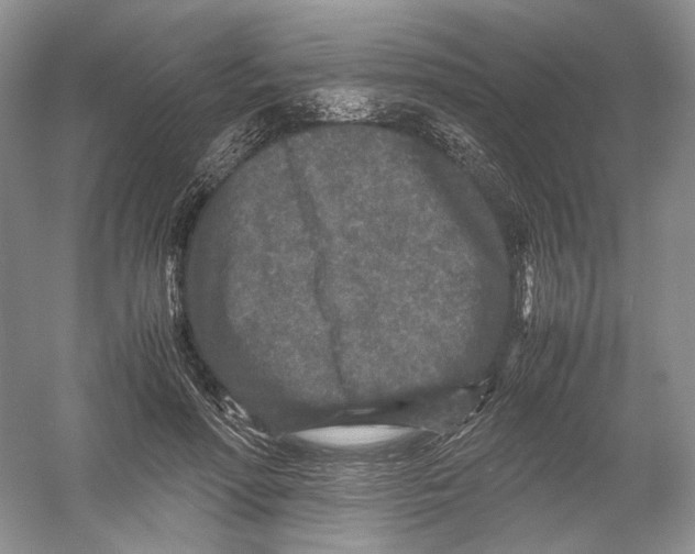 X0000054370598200508262343