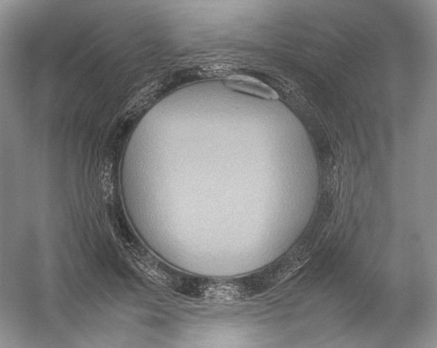 X0000054370599200508262343