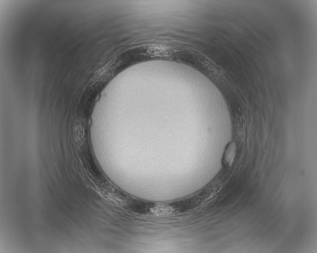 X0000054370603200508262343