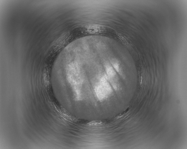 X0000054370606200508262343