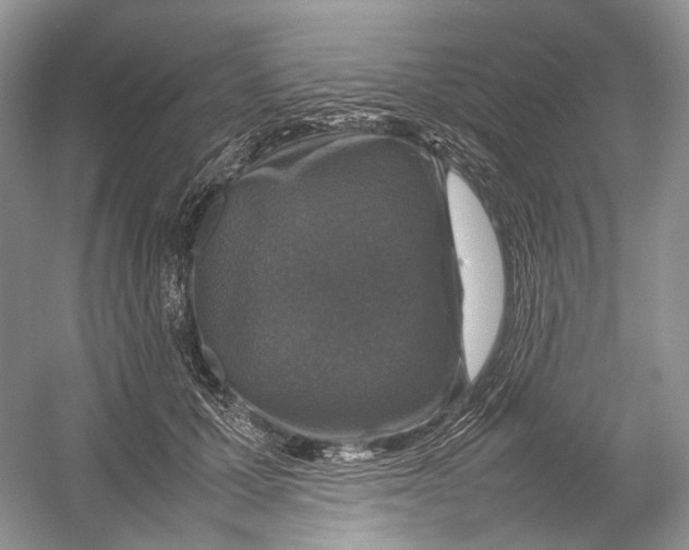 X0000054370607200508262343