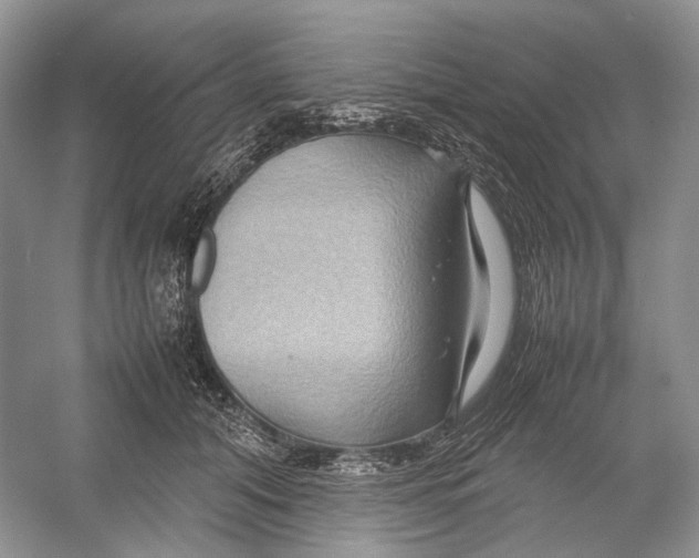 X0000054370608200508262343