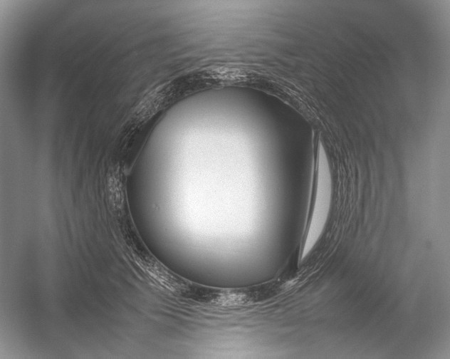 X0000054370609200508262343