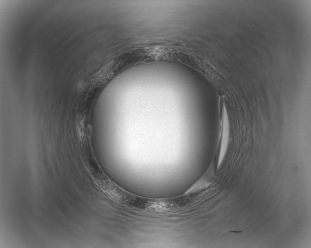 X0000054370611200508262343