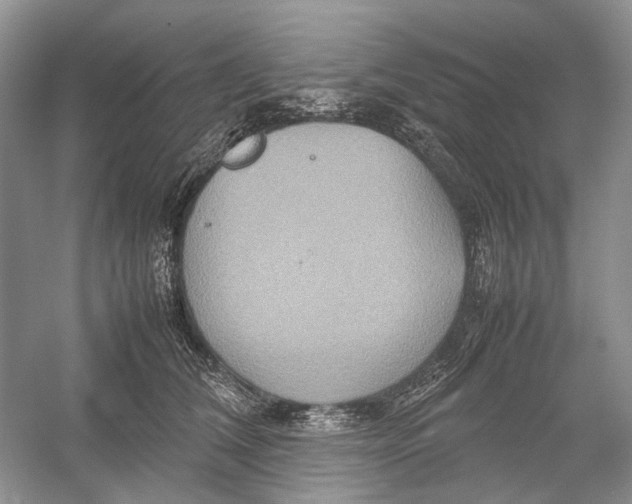 X0000054370612200508262343