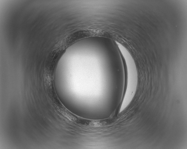 X0000054370613200508262343