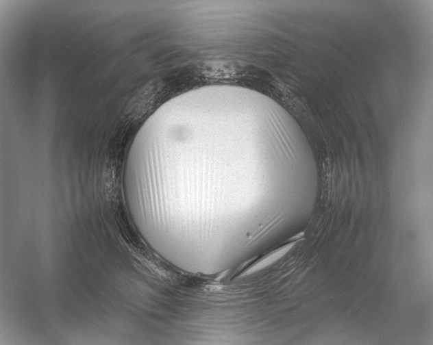 X0000054370614200508262343