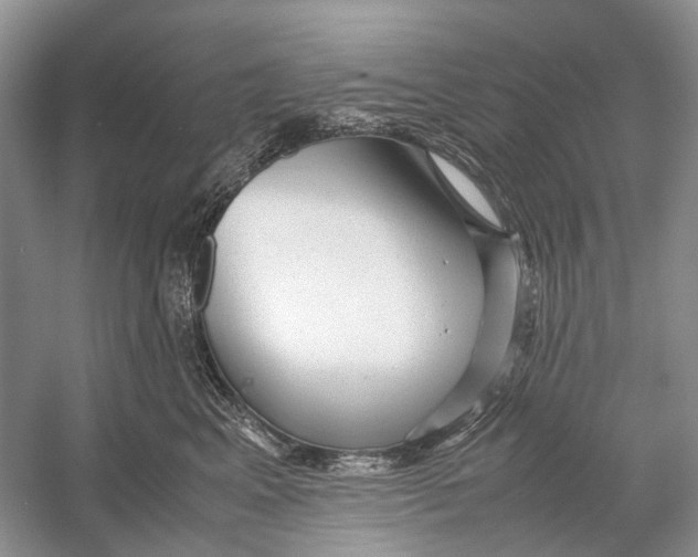 X0000054370617200508262343