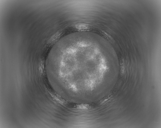 X0000054370618200508262343