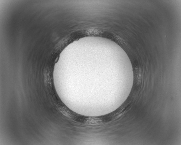 X0000054370619200508262343