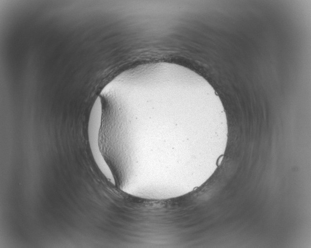 X0000054370624200508262343