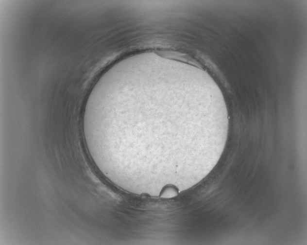 X0000054370625200508262342