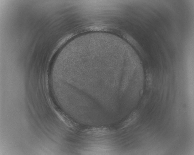 X0000054370626200508262342