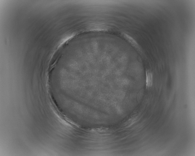 X0000054370627200508262342