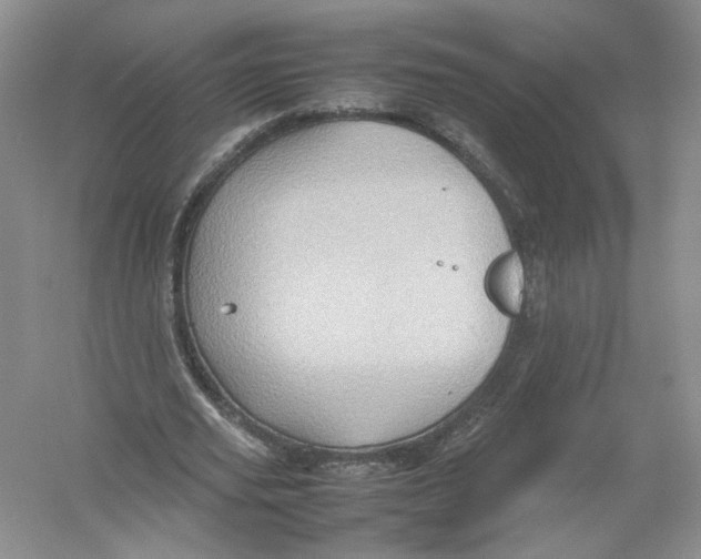 X0000054370629200508262342