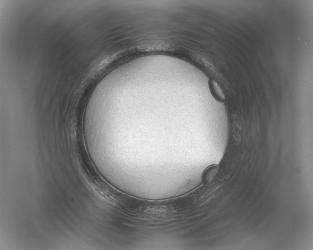 X0000054370631200508262342