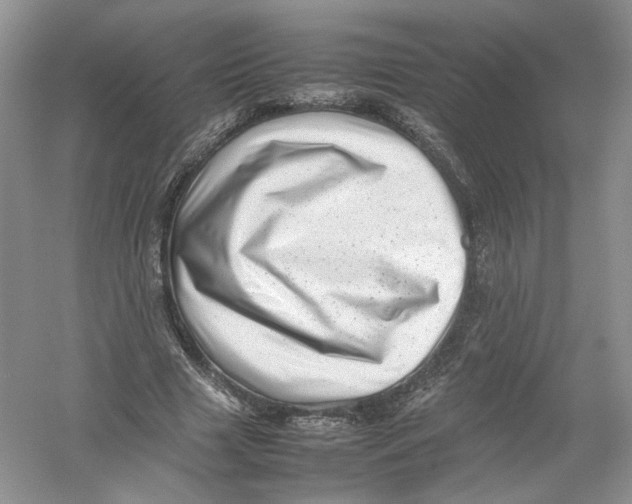 X0000054370633200508262342