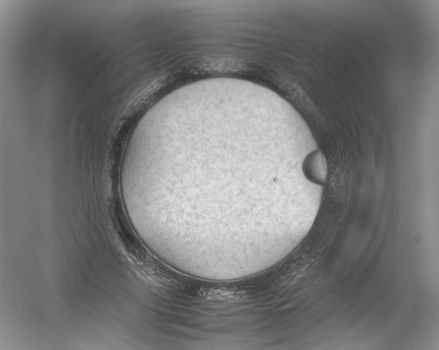 X0000054370635200508262342