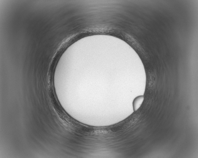 X0000054370636200508262342