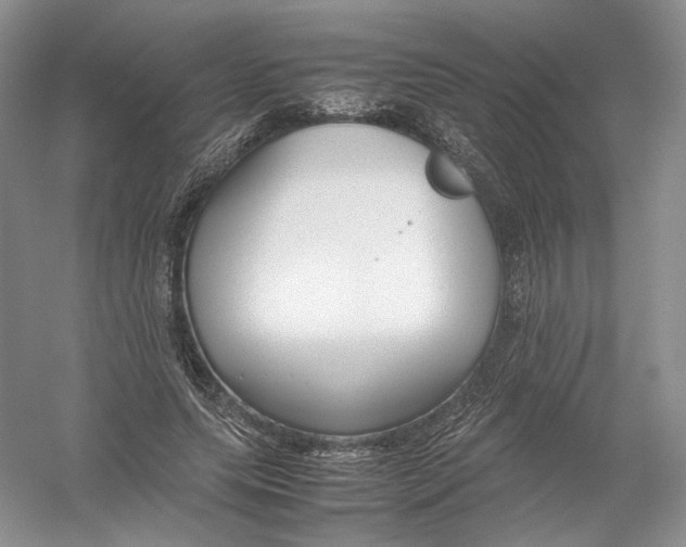 X0000054370639200508262342