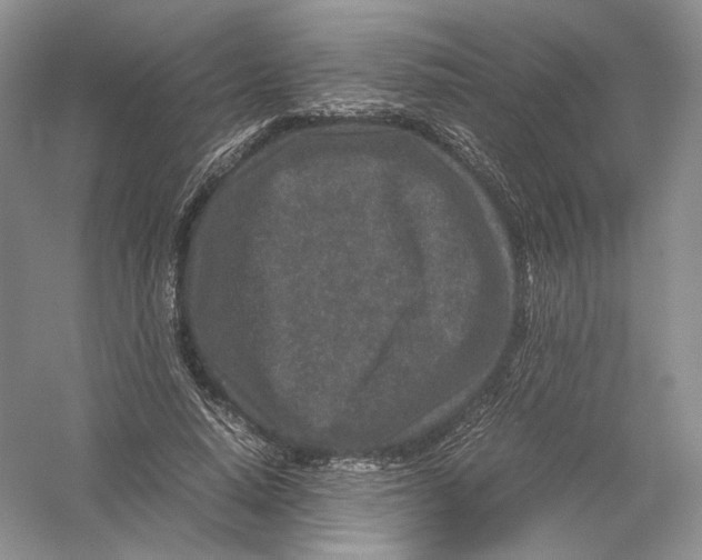 X0000054370640200508262342