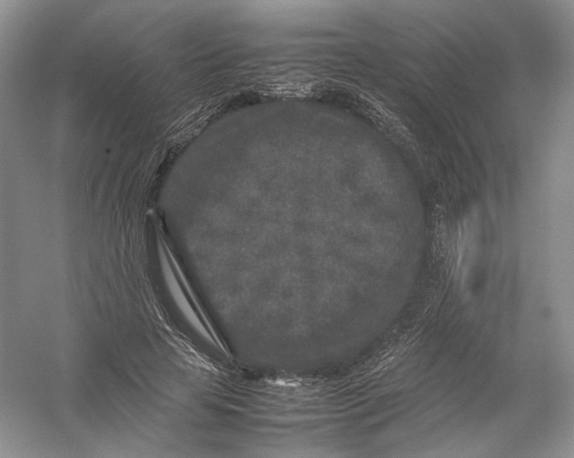 X0000054370641200508262342