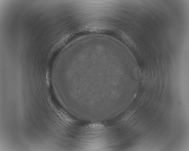 X0000054370644200508262342