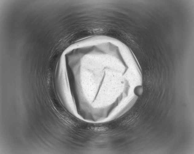 X0000054370645200508262342