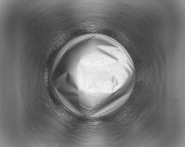 X0000054370646200508262342