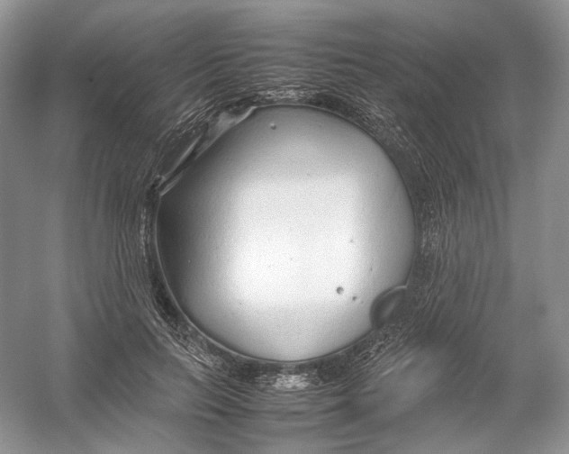 X0000054370647200508262342