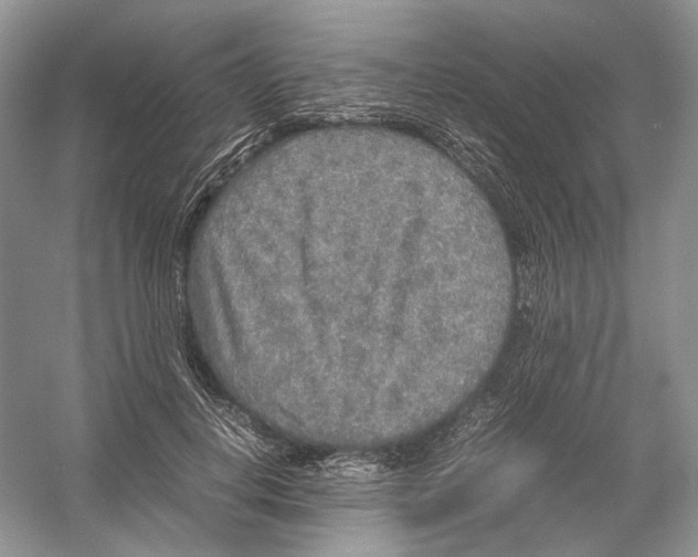 X0000054370648200508262342