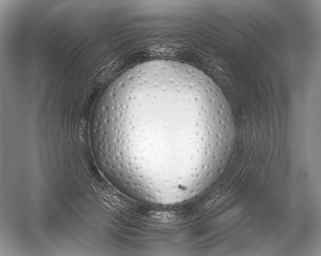 X0000054370649200508262342