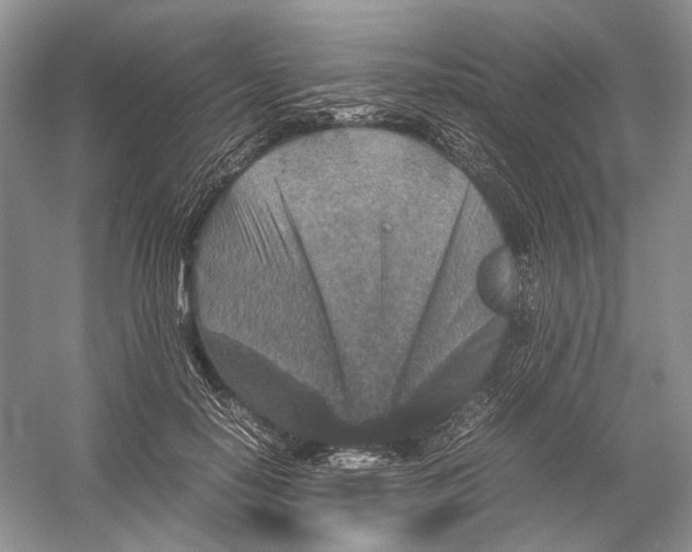 X0000054370650200508262342