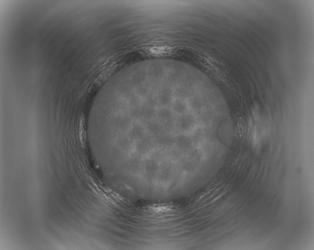 X0000054370651200508262342