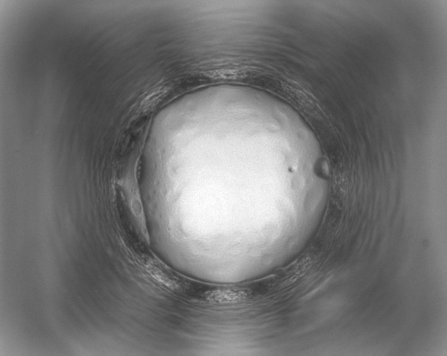 X0000054370652200508262342