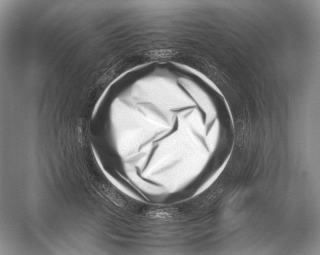 X0000054370655200508262342